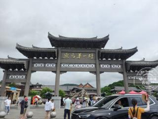 2025“活力中国调研行”｜海鸥天天来“打卡上班”的村子