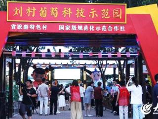 人潮乐浪席卷王因刘村葡萄园！直击现场高光瞬间