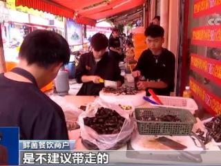 吃菌餐馆打包“见手青”要签协议 怎么食用“见手青”才更安全？