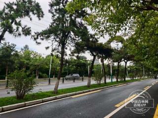今日入伏，长春雨中迎清凉