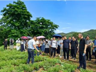 威海市2025年中小学研学实践教育培训活动成功举办