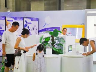 体验量子力学的神秘世界