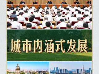 习言道丨一棵大榕树，尽显习近平的城市理念