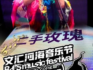 2025文汇河海音乐节 | 一组海报带你体验音乐节的艺人风采