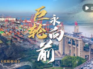 中国经济系列专题片《巨轮永向前》第三集《双轮驱动》