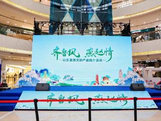 圆满收官！“阳光海岸 活力日照”闪耀四省