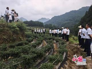 古阳镇人大：凝心聚力促振兴 履职尽责显担当