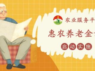 农业服务平台上线惠农养老储蓄计划，践行“十四五”养老规划惠民生