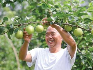 江苏沭阳李恒镇：“抱团模式”激活致富密码
