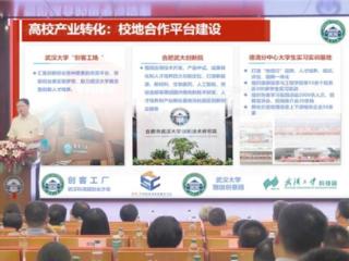 合肥武大创新院联袂九三引爆"反应堆"，龚威副校长主旨报告按下协同链式反应