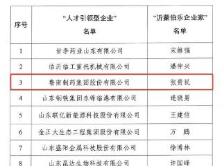 鲁南制药集团被评为临沂市“人才引领型企业”