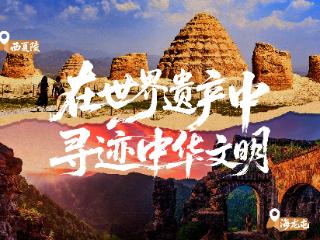AI｜当西夏陵遇见海龙屯