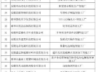 智能工厂项目 ，蚌埠最新认定63个