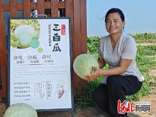 广宗县推动三白瓜产业向深加工转型发展