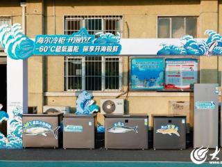 2025“海尔冷柜杯”青岛市海钓公开赛圆满收官