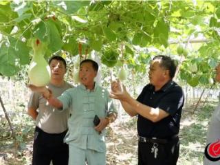 观+玩+吃！曲阜“葫芦”藏着致富小妙招
