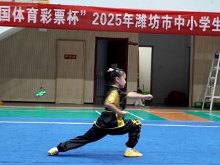 2025年潍坊市中小学生体育联赛武术比赛举行