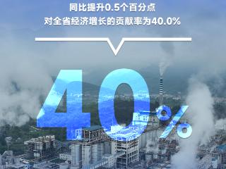 上半年工业增加值对贵州经济增长的贡献率为40.0%