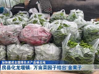 加快建成全国绿色农产品输出地丨房县化龙堰镇：科技赋能“菜篮子” 建设高标准设施蔬菜专业乡镇