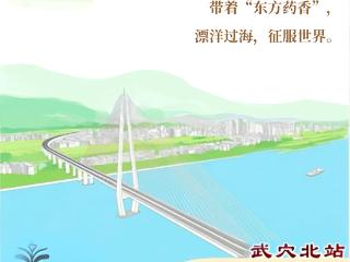 沿着铁路评湖北｜漫画诗评：高铁把大别山轻推到你的面前