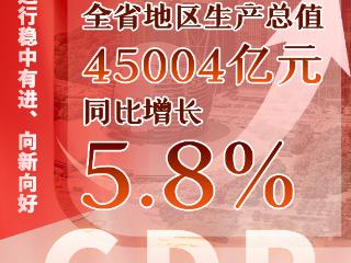 数读2025上半年浙江发展“进”度条
