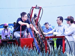 河北首次开展大葱自走式收获机现场作业与性能试验