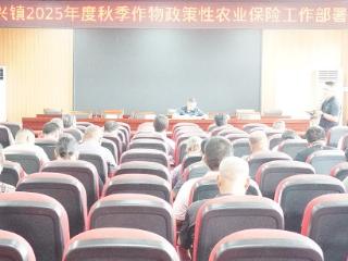 临沭县大兴镇进行秋季农作物保险征收工作