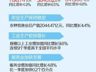 总体平稳 稳中有进 稳中向好！上半年贵州地区生产总值增长5.3%