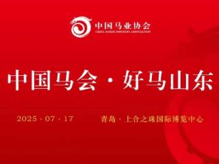 汗血宝马来青岛啦！青岛上合打造全球马业交流高地
