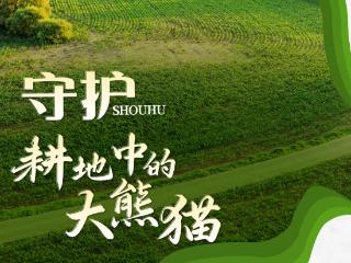 吉林省黑土地保护日特别海报｜护黑土 稳粮仓 向未来