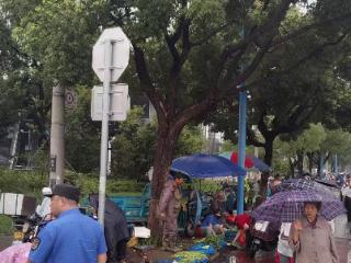 党建赋能，多元共治，斜塘街道“城管进社区”激活基层治理新活力