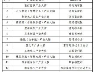 潍坊潍城获山东省“产业大脑”建设试点！