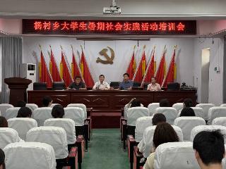 南乐县杨村乡：“实践+服务”双轮驱动 志愿力量“沉”入基层暖民心