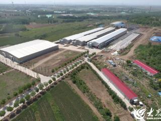 数智羽翼赋能未来农业：牧族科技重塑300万羽蛋鸡产业新纪元