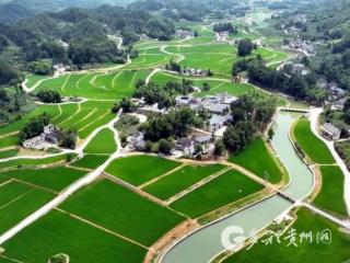 凤冈：无人机投放赤眼蜂 “以虫治虫”助稻丰收