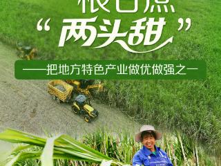 习近平总书记关切事｜一根甘蔗“两头甜”——把地方特色产业做优做强之一