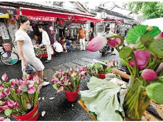 “荷”你相约 夏日“鲜”卖