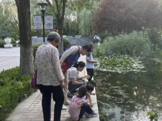 南苑街道南池社区开展“水系安全我守护 防溺宣传进万家”活动