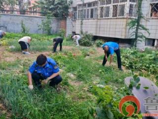 胶州：清理违规种菜还公共空间整洁