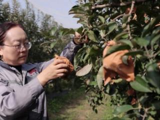 强农先锋丨牛仙玲：常山麓下看新农