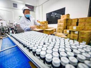 G视觉·企业行｜桐梓娄山关经开区：三季度企业生产线“脉动”加速