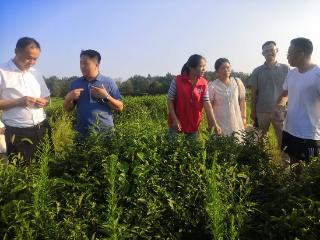 科技赋能信阳茶业 专家团把脉问诊开出高质量发展“良方”