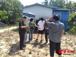 定陶：2万株玫瑰订单将启国际征程