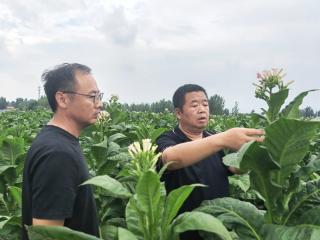 李伟：心系莘莘烟农 播撒无悔青春