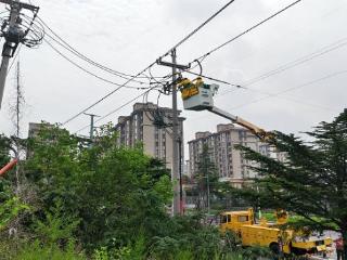 国网泰安供电公司：“零感知”带电作业 保障可靠供电
