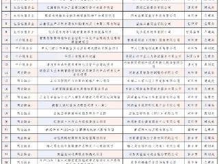 31个！新一批河南省新服务新供给重点培育项目公布