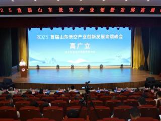 数字赋能实体经济，智创低空产业未来