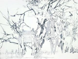 王磐德速写作品欣赏（八）：鸟鸣山更幽