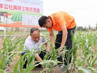 重构发展新引擎 探寻山东高质量发展的“民企密码”