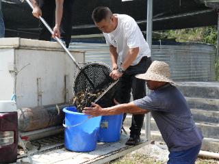 近2000万尾鱼苗从玉屏朱家场镇茅坡村“游”向全国